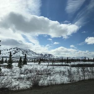 Meet your Posher, Blake